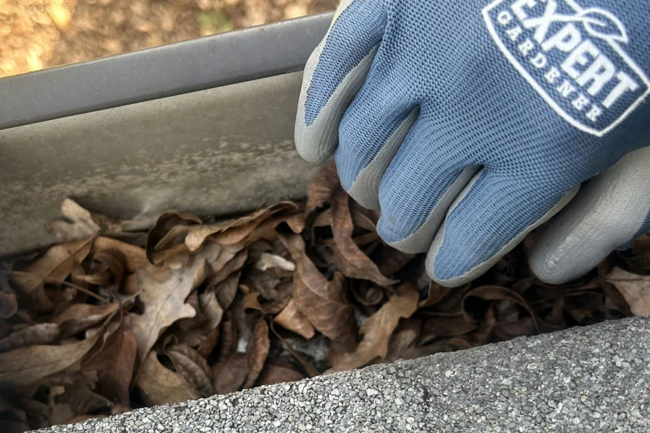 Gutter Cleaning Hyattsville