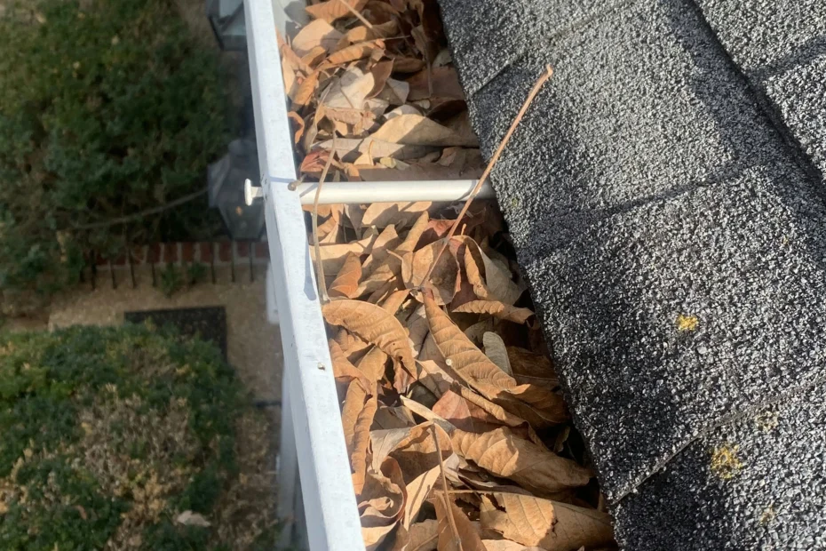 Gutter Cleaning Hyattsville