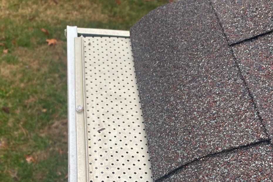 Gutter Cleaning Hyattsville