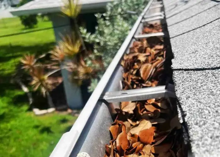 Gutter Cleaning Hyattsville home page